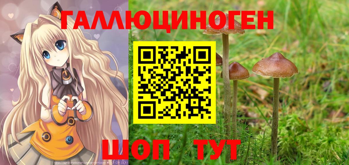 Псилоцибиновые грибы GOLDEN TEACHER  Вход с VPN  Лесосибирск 